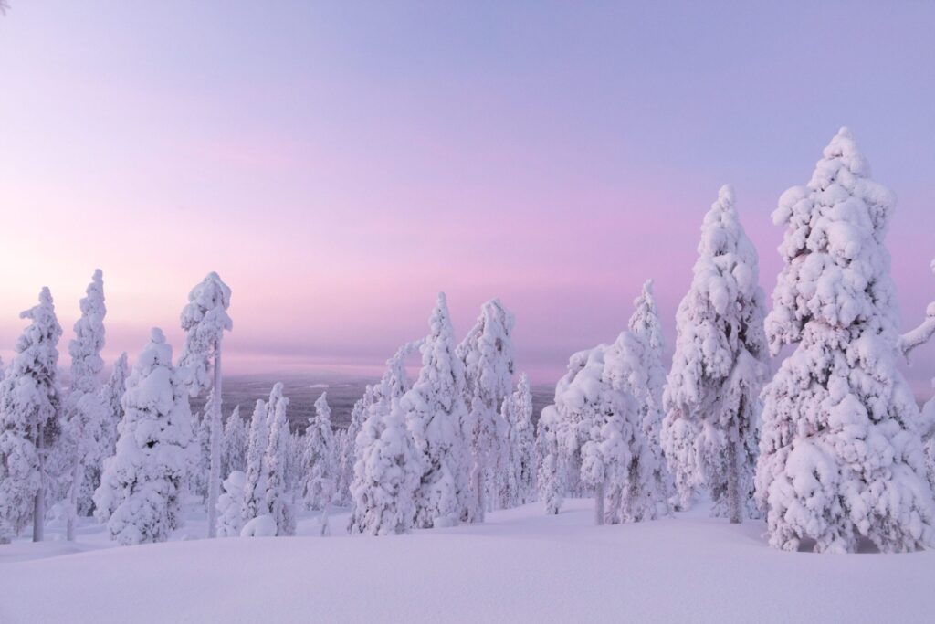 Luxury rental Retreats and villas by V1 retreats lapland