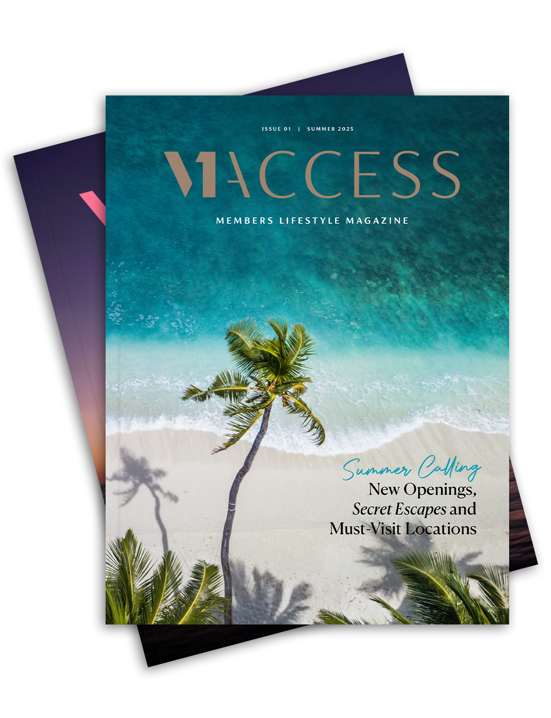 V1 Magazine Double Mock Up Final Website